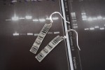 Genetics: DNA Ladder Earrings