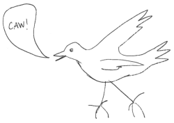 Birdsketch by Rebecca Heiss (All Rights Reserved)
