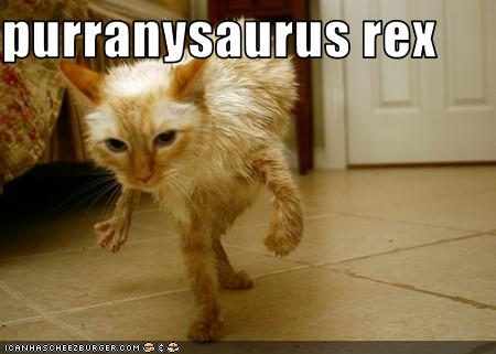 funny-pictures-cat-is-dinosaur