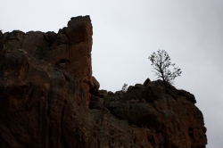 Bandelier National Monument (Photo by Josh Witten CC BY-NC-SA)