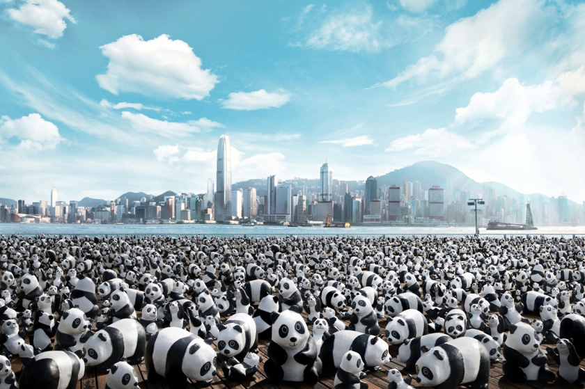 Pandas on Tour in Hong Kong, summer 2014
