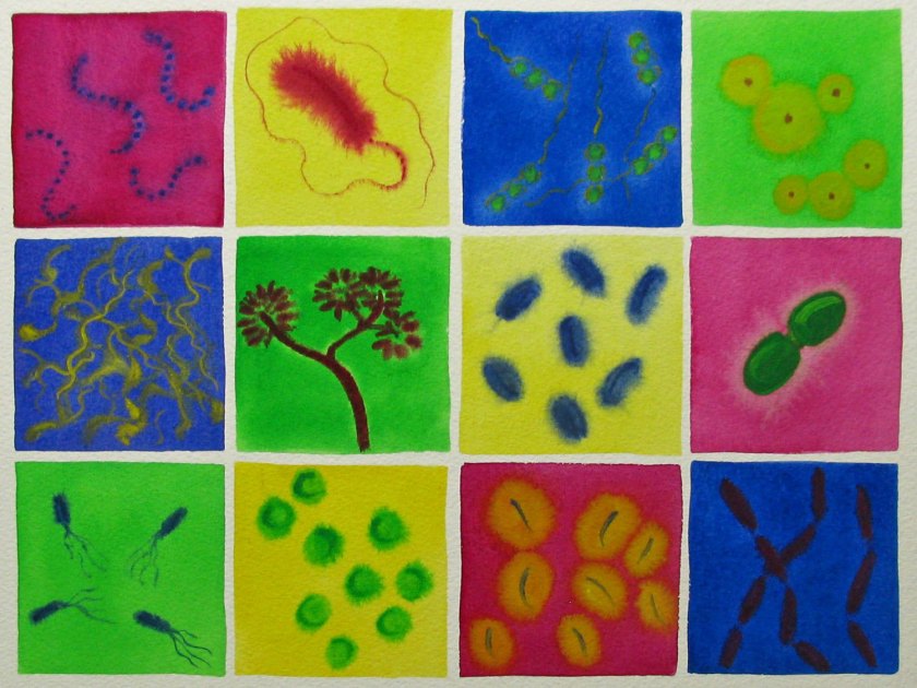 Rainbow Microbes by Michele Banks