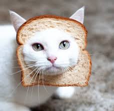 breadcat