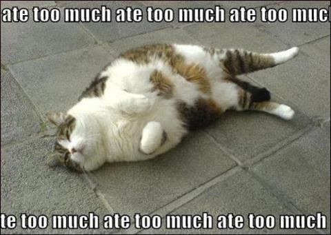 ate too much